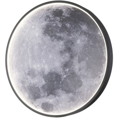 Настенно-потолочный светильник Planet 10226/SG LED Moon